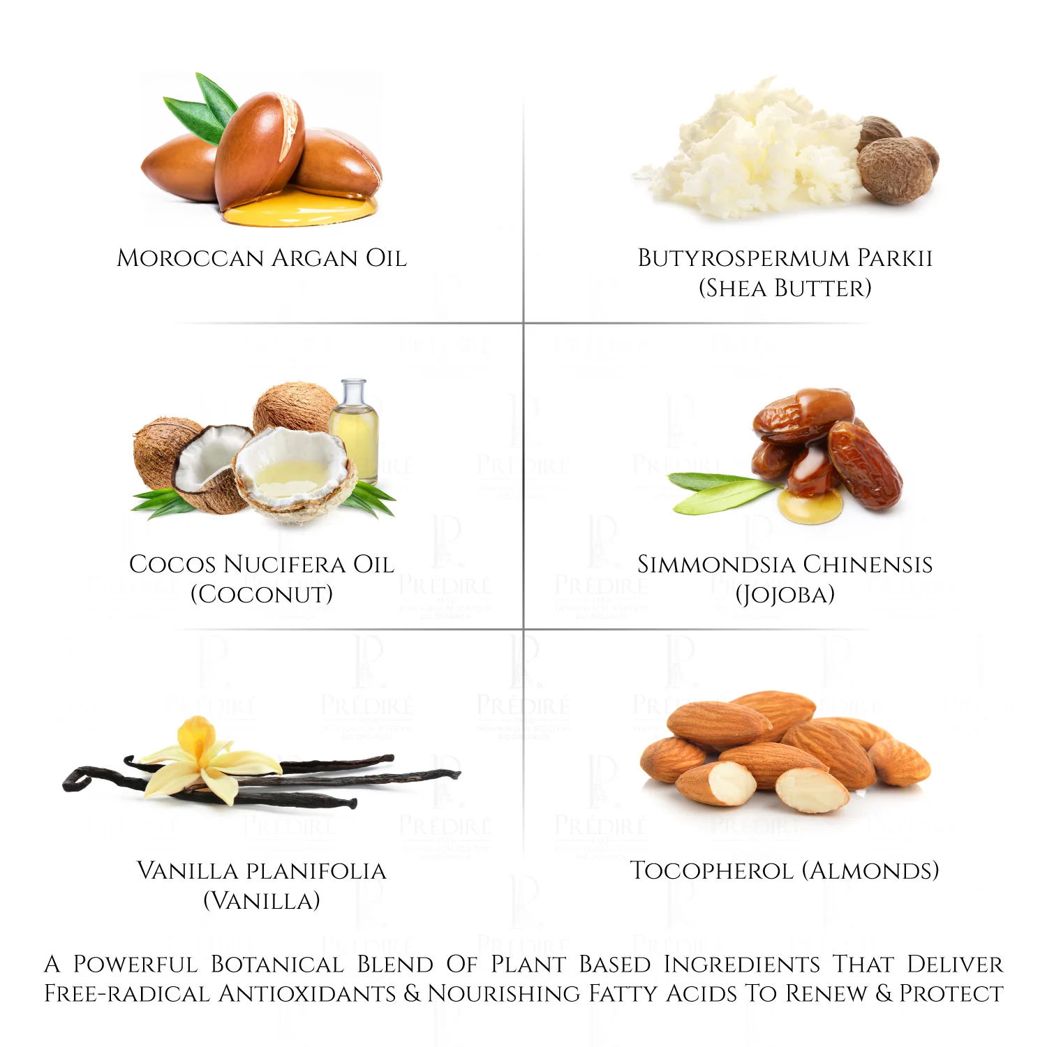 Almond Vanilla Sea Salt Exfoliating Body Scrub with Argan Oil & Vitamin E Booster, 225ml - Image 3