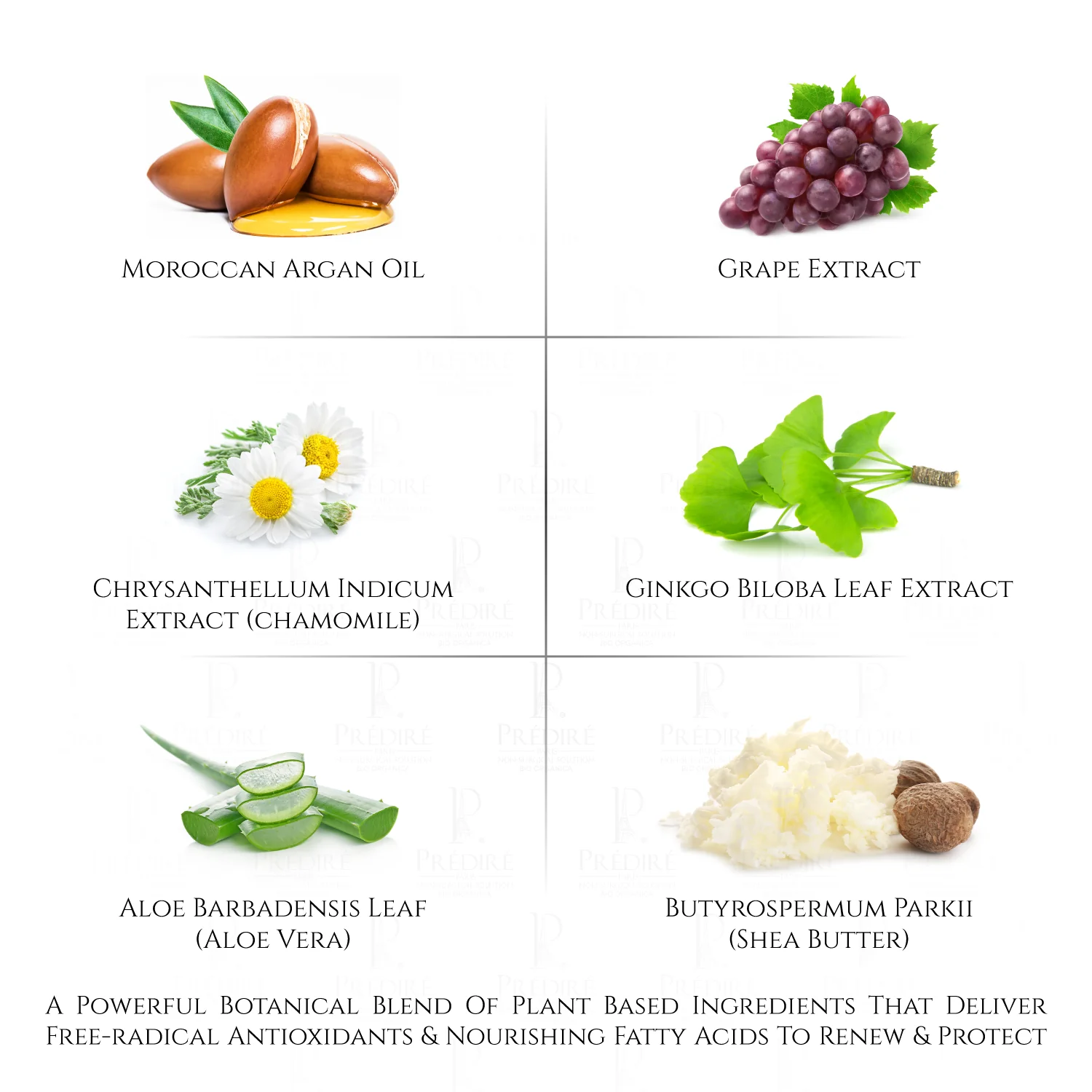 Black Orchid Transformation Skin Collection | Moisturizer, Concentrate, Serum, Toner, Gel, Hydration, Vitamin Boost, Anti-Aging, Mask, Wrinkle, Collagen, & Cleanser | Limited Edition - Image 5