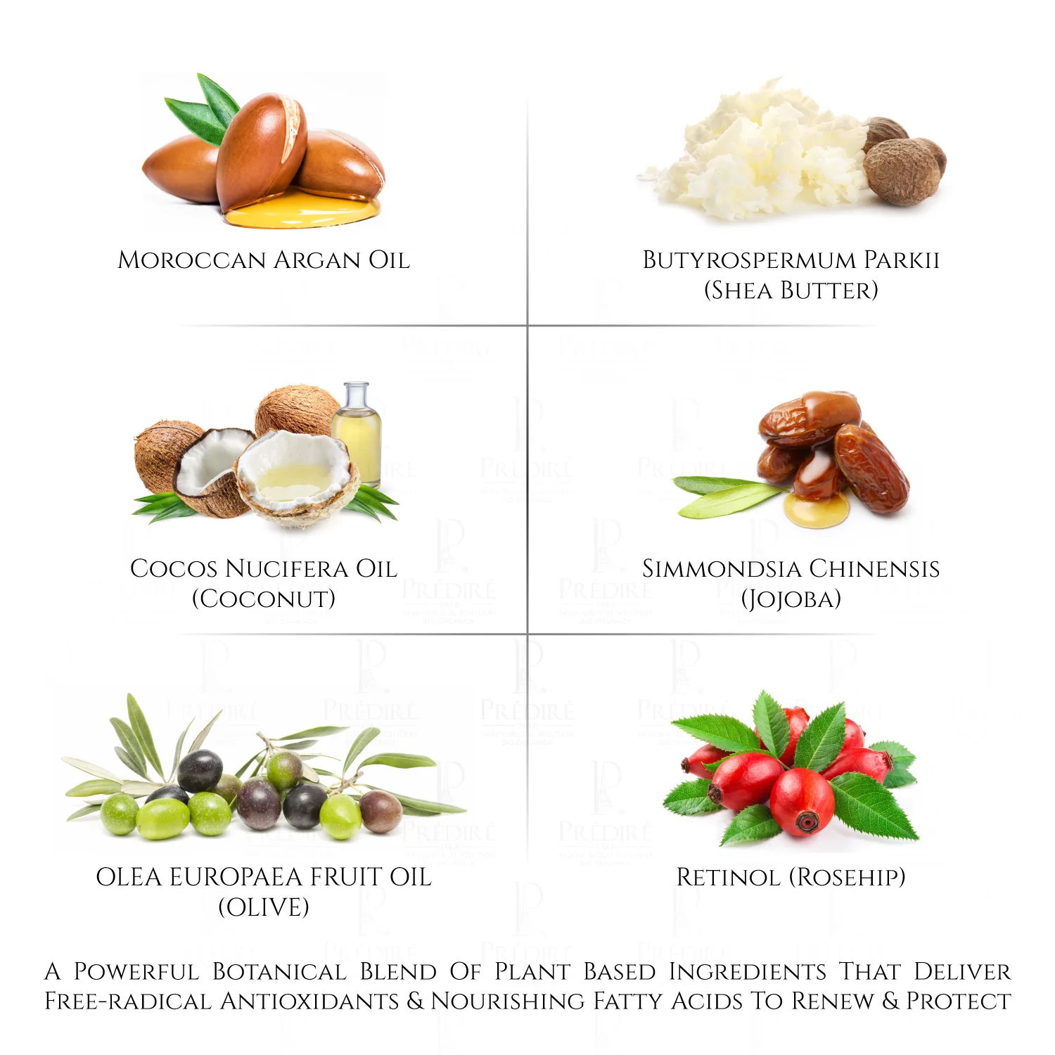 Lionails Luxury Manicure Set | Coconut and Honey 4-Piece Set - Image 6