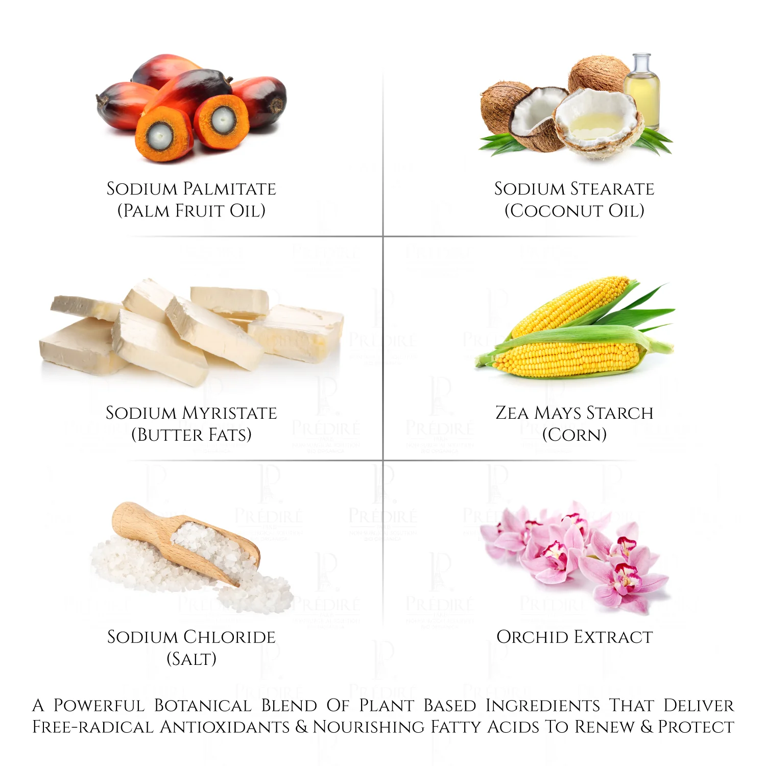 Vitamin C & E Booster Concentrate Soap | Extreme Hygiene Anti-Bacterial Soap - Image 3