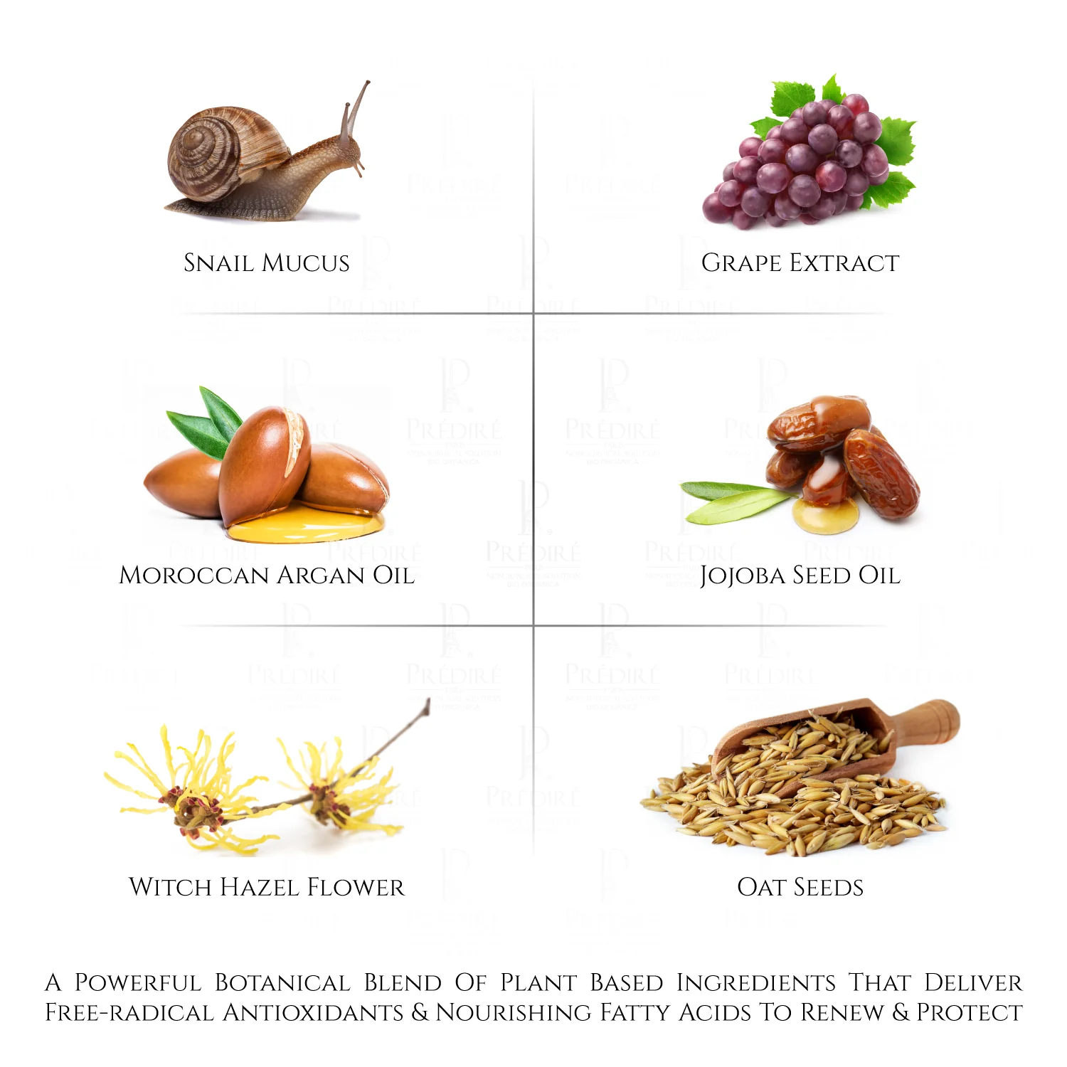 Snail Skin Cell Renewal Cream - Image 4