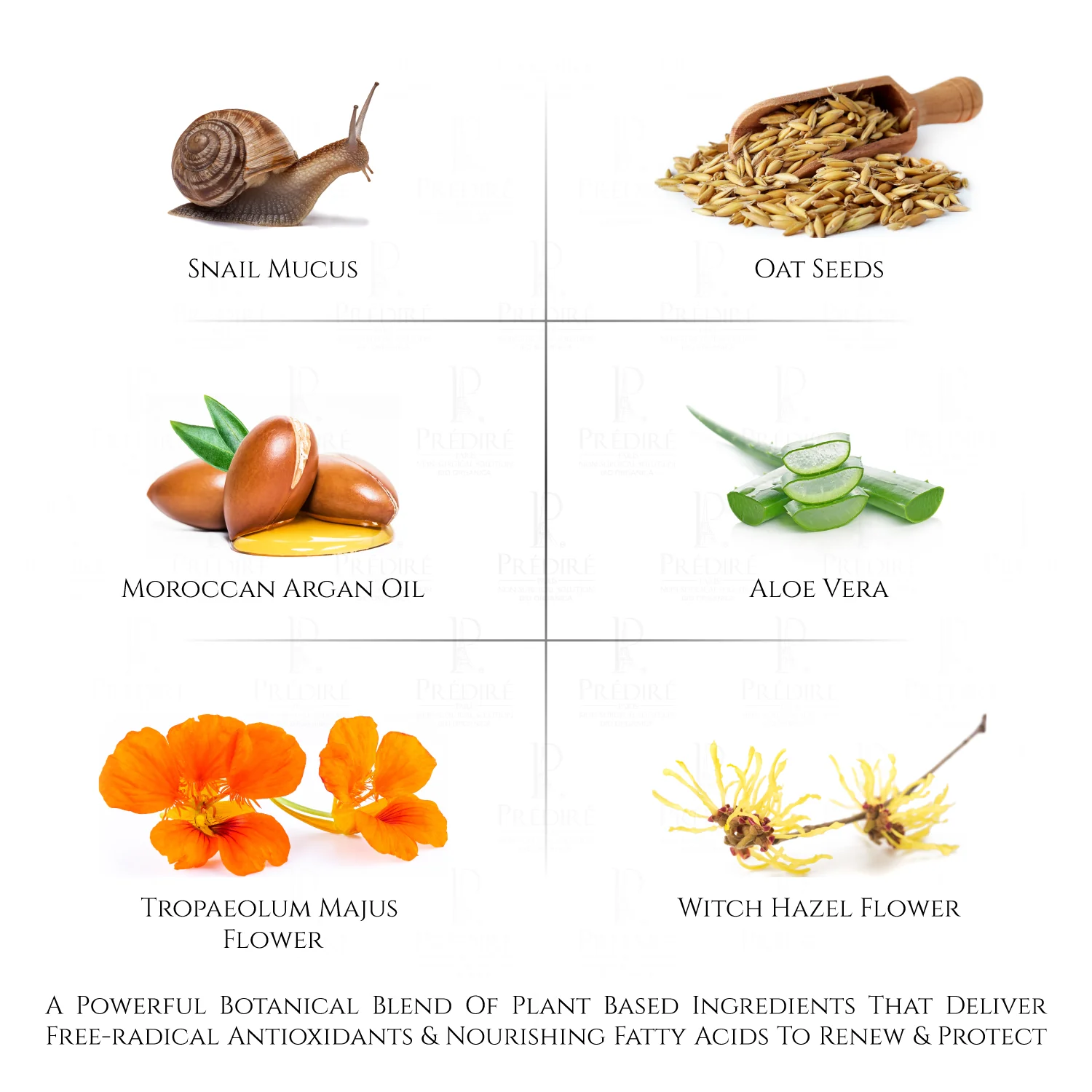 Snail Skin Rejuvenating Serum - Image 4